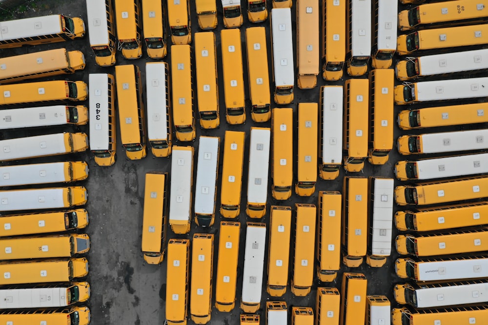 흰색과 노란색 버스의 항공 사진