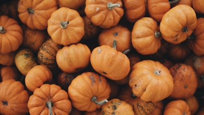 many pumpkins