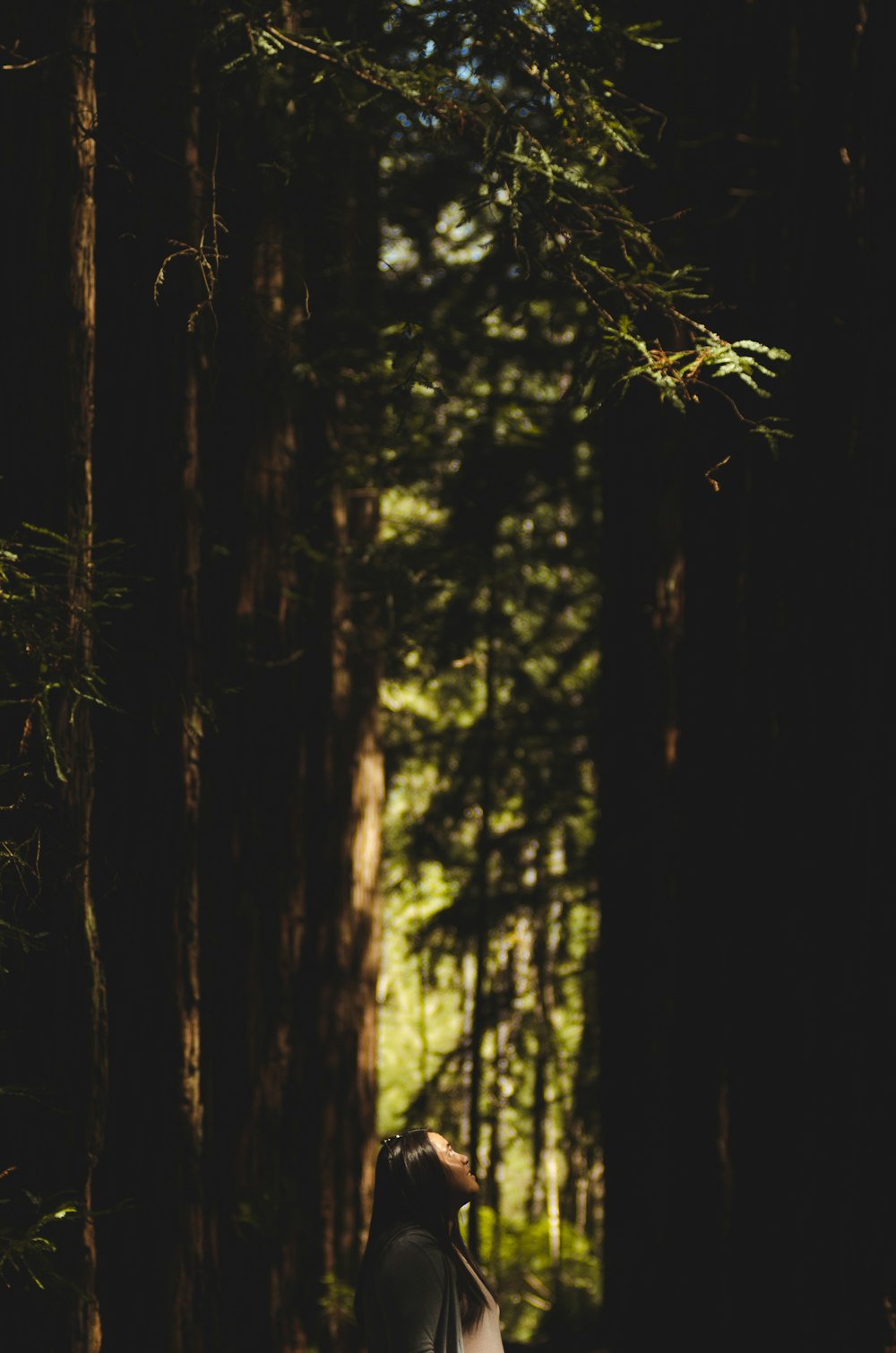 woman standing in forest beside trees