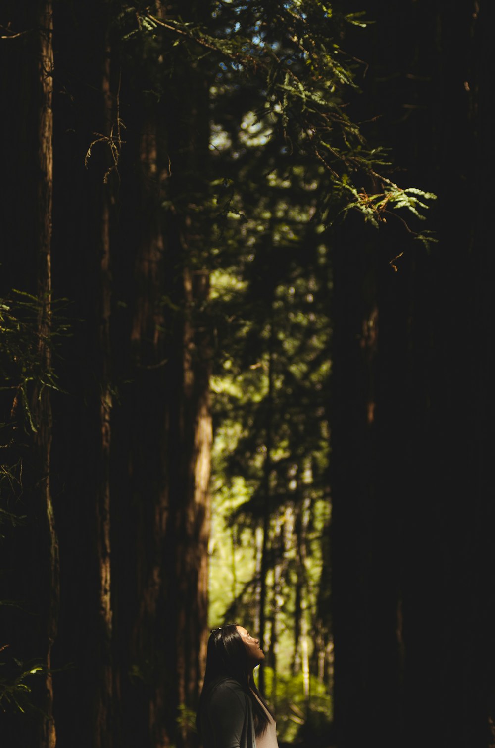 femme debout dans la forêt à côté des arbres