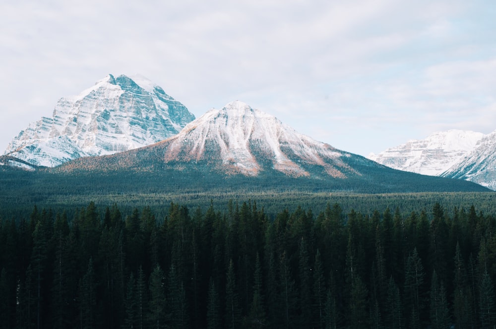 Montagne blanche et verte entourée d’arbres verts