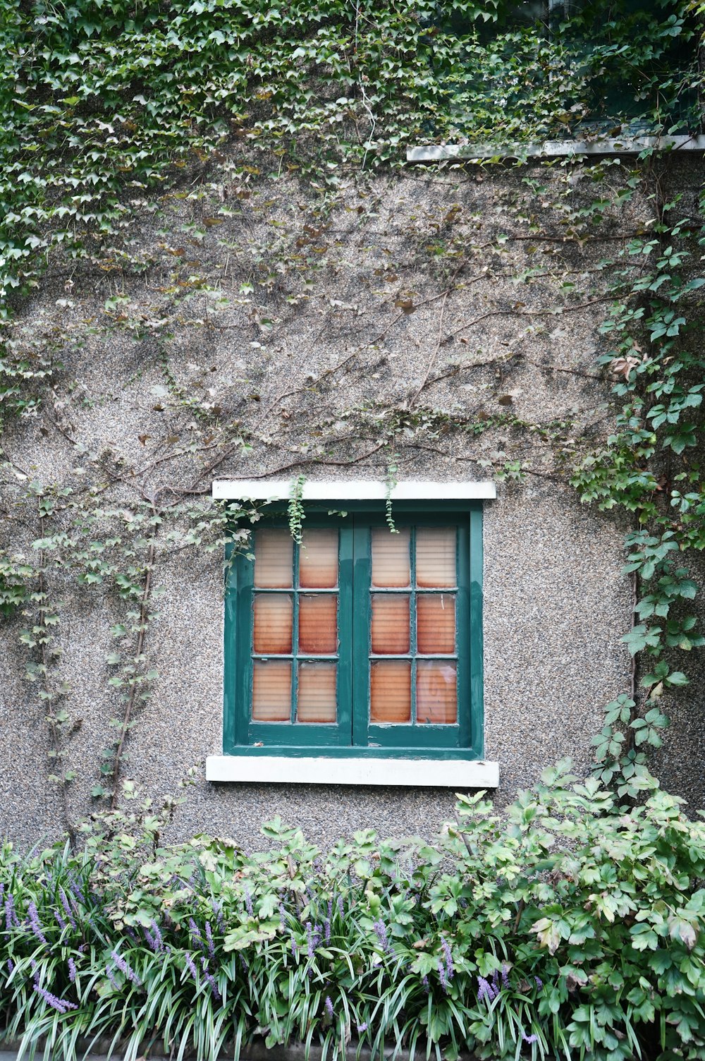green wooden window surrounded with green leaves