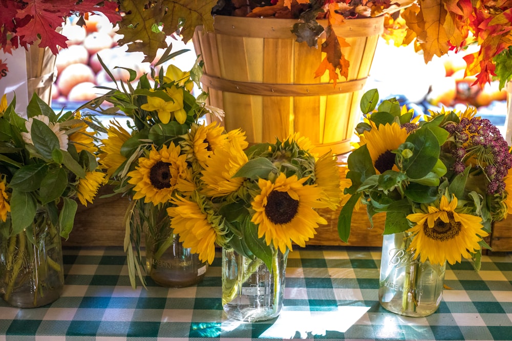 sunflowers flowers in vases
