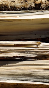 Close-up of wooden billets and twigs showing natural grain and texture.