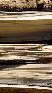 Close-up view of stacked pieces of cut wood with visible grain patterns and layers, possibly indicating freshly chopped logs or firewood. There is a rough texture and natural coloration on the surface.