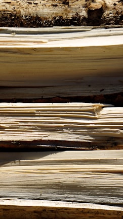 Detailed view of wood grain patterns on freshly sliced timber pieces.