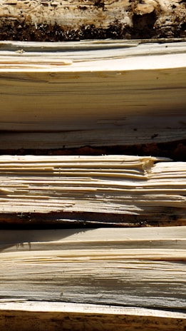 Close-up view of stacked pieces of cut wood with visible grain patterns and layers, possibly indicating freshly chopped logs or firewood. There is a rough texture and natural coloration on the surface.