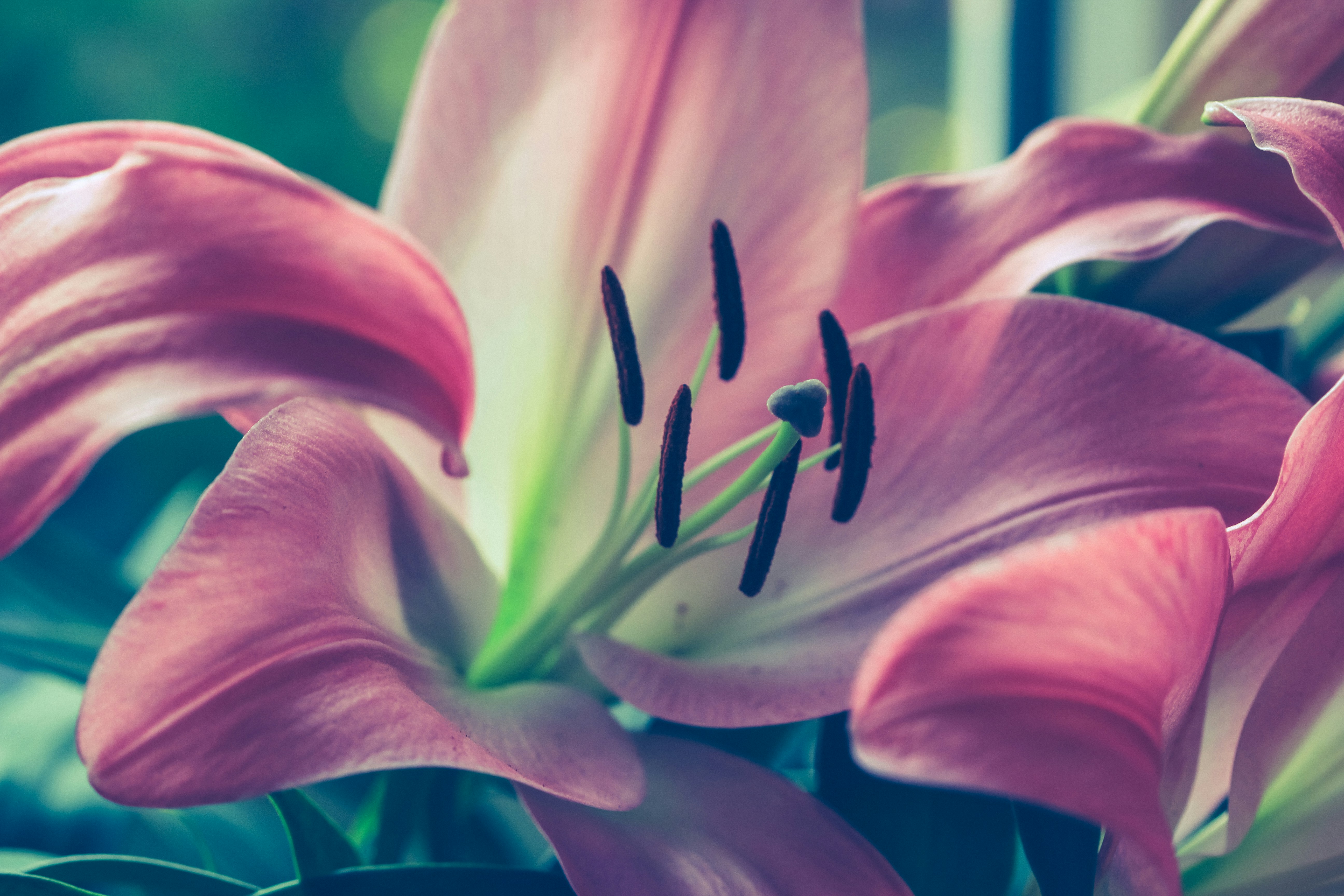 Photo by allthestars