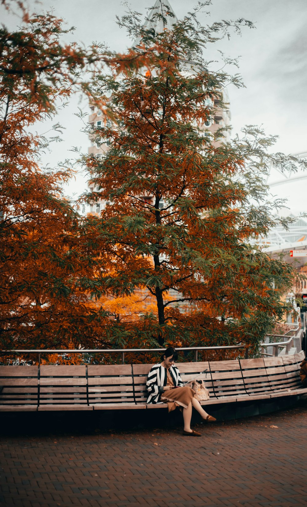 woman sitting with cross legs near tree