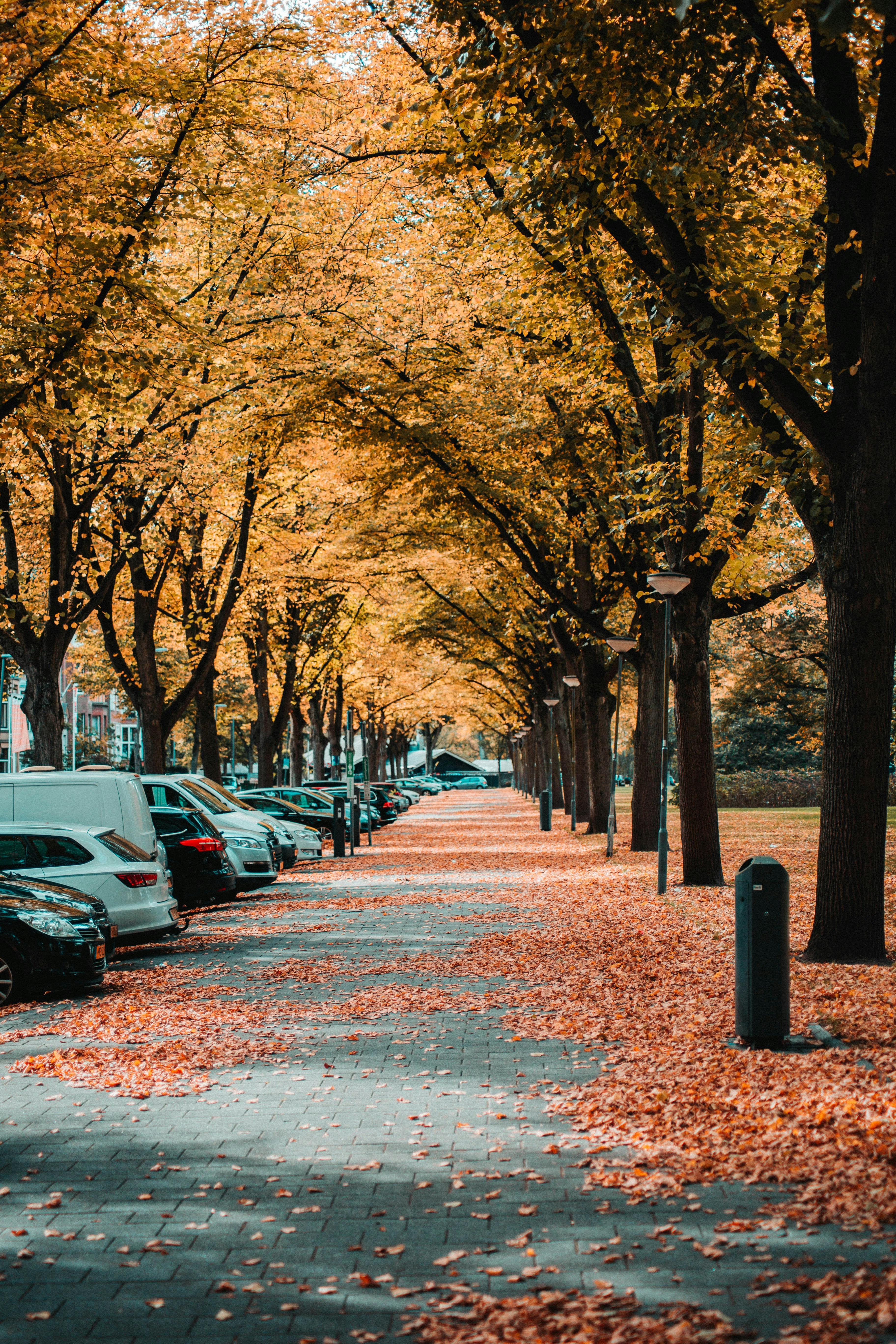 Photo by isaacmehegan