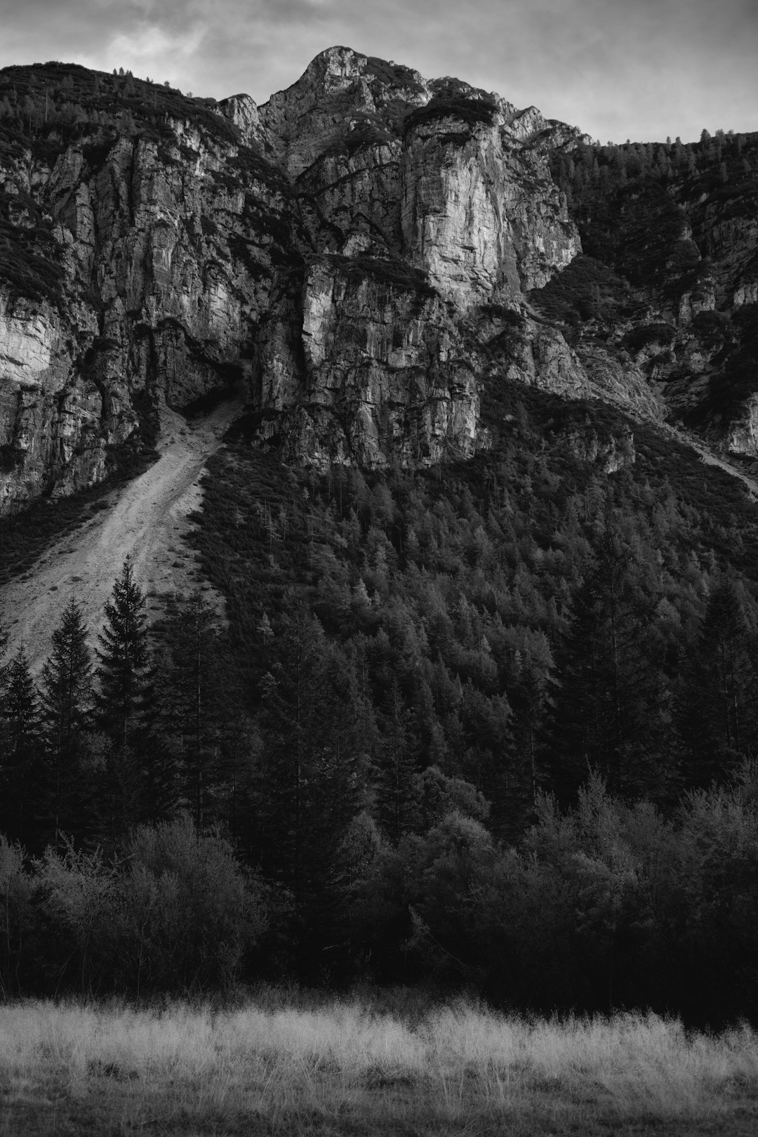 Cliff photo spot Strada della Val Cimoliana Pragser Wildsee