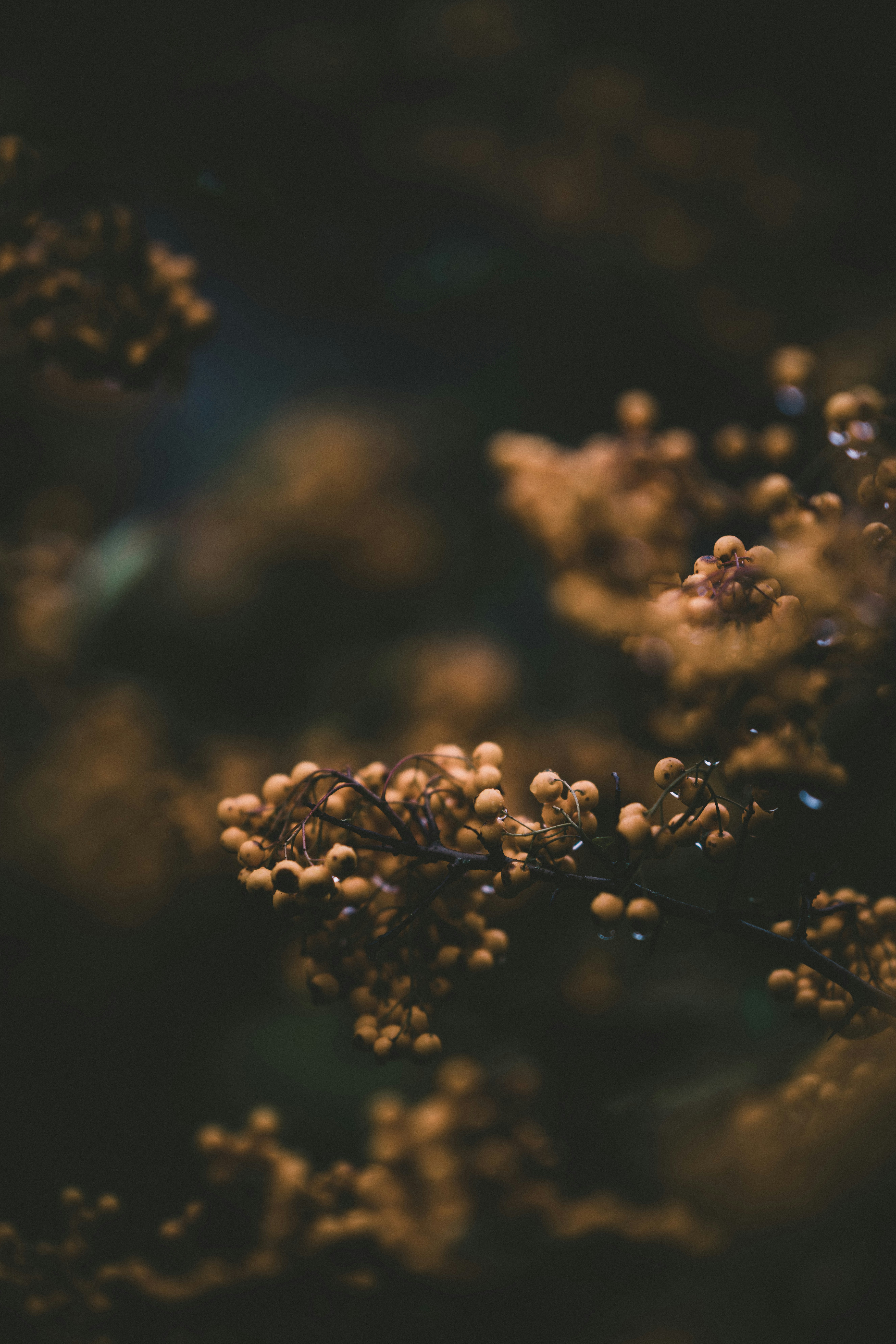 Photo by anniespratt