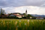 green grass field and houses during daytime