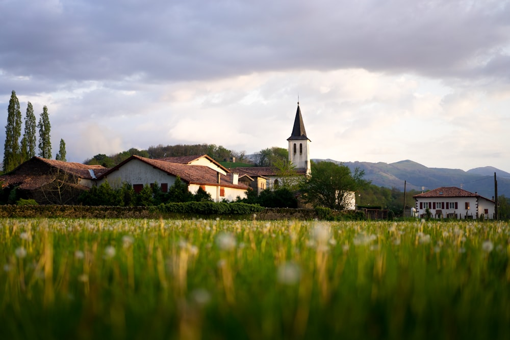 campo de grama verde e casas durante o dia