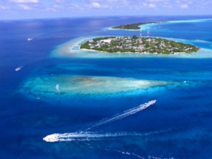 bird's-eye photography of islet
