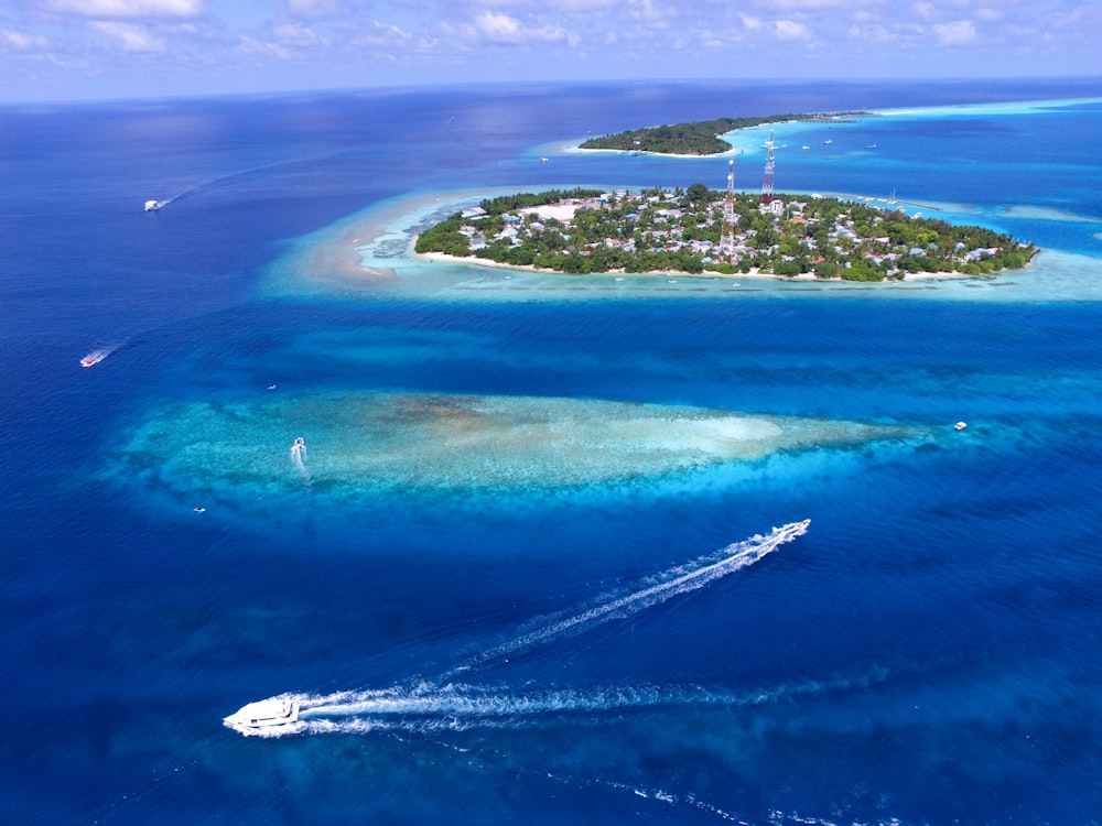 bird's-eye photography of islet