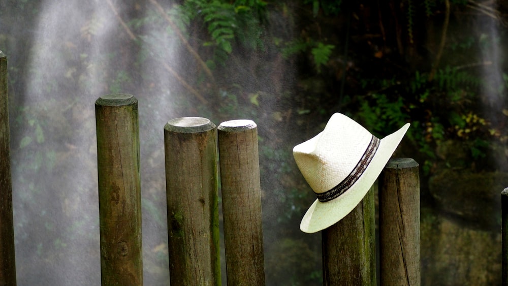 white fedora hat placed on brown wooden fence
