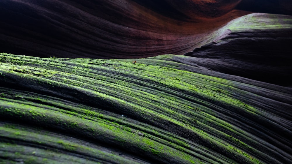 a close up of a rock formation with green moss growing on it