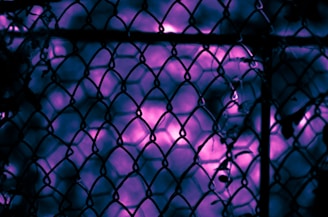 A chain-link fence is silhouetted against a vivid purple and pink background. The fence features intersecting diamond-shaped patterns and has some tangled plant matter clinging to it, creating a moody and textured scene.