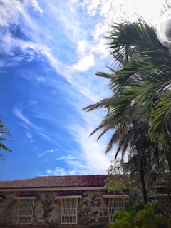 A sunny view of a health clinic in the Virgin Islands.