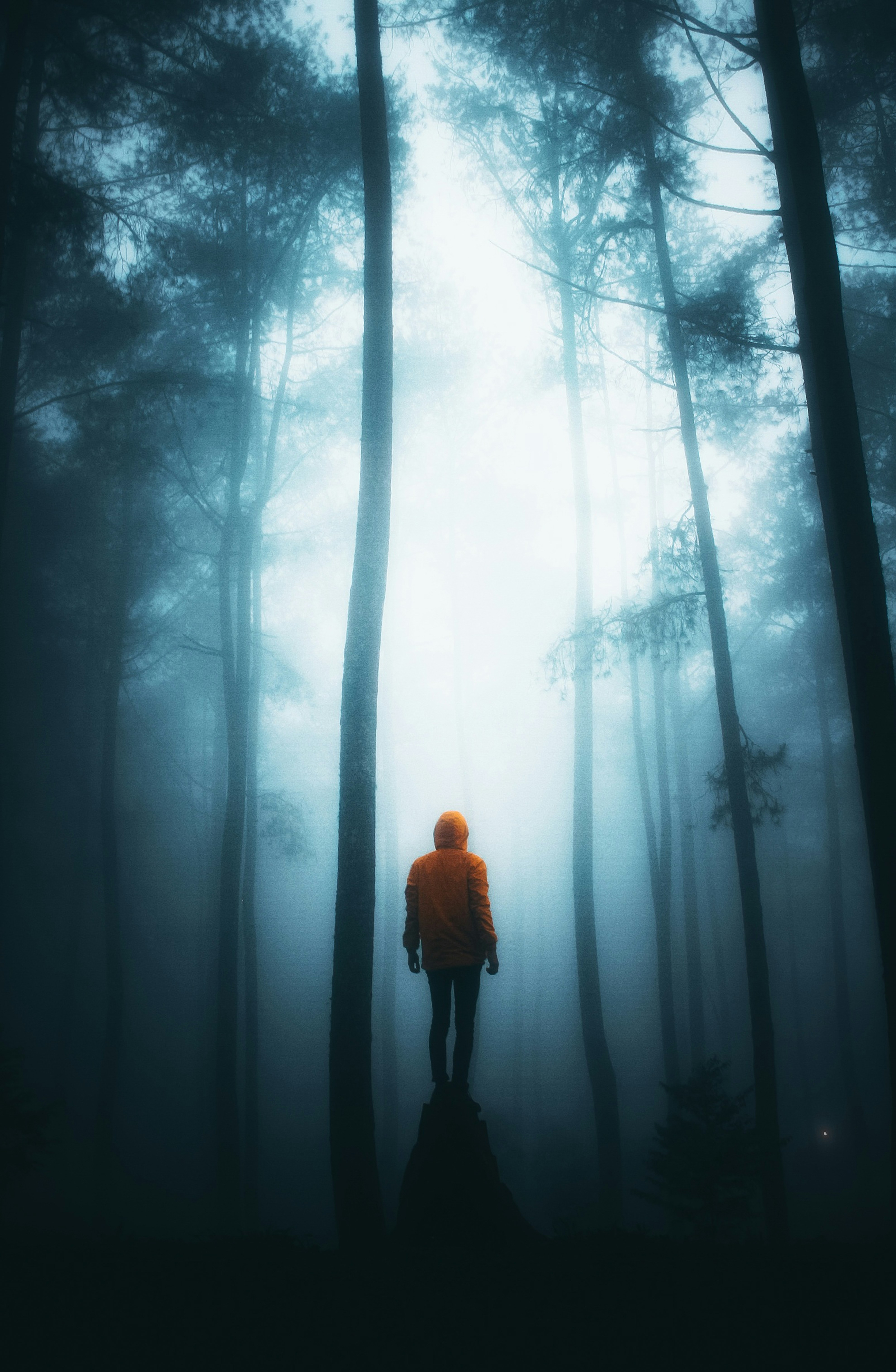 Misty Night HD photo by Ramdan Authentic ramdanauthentic on