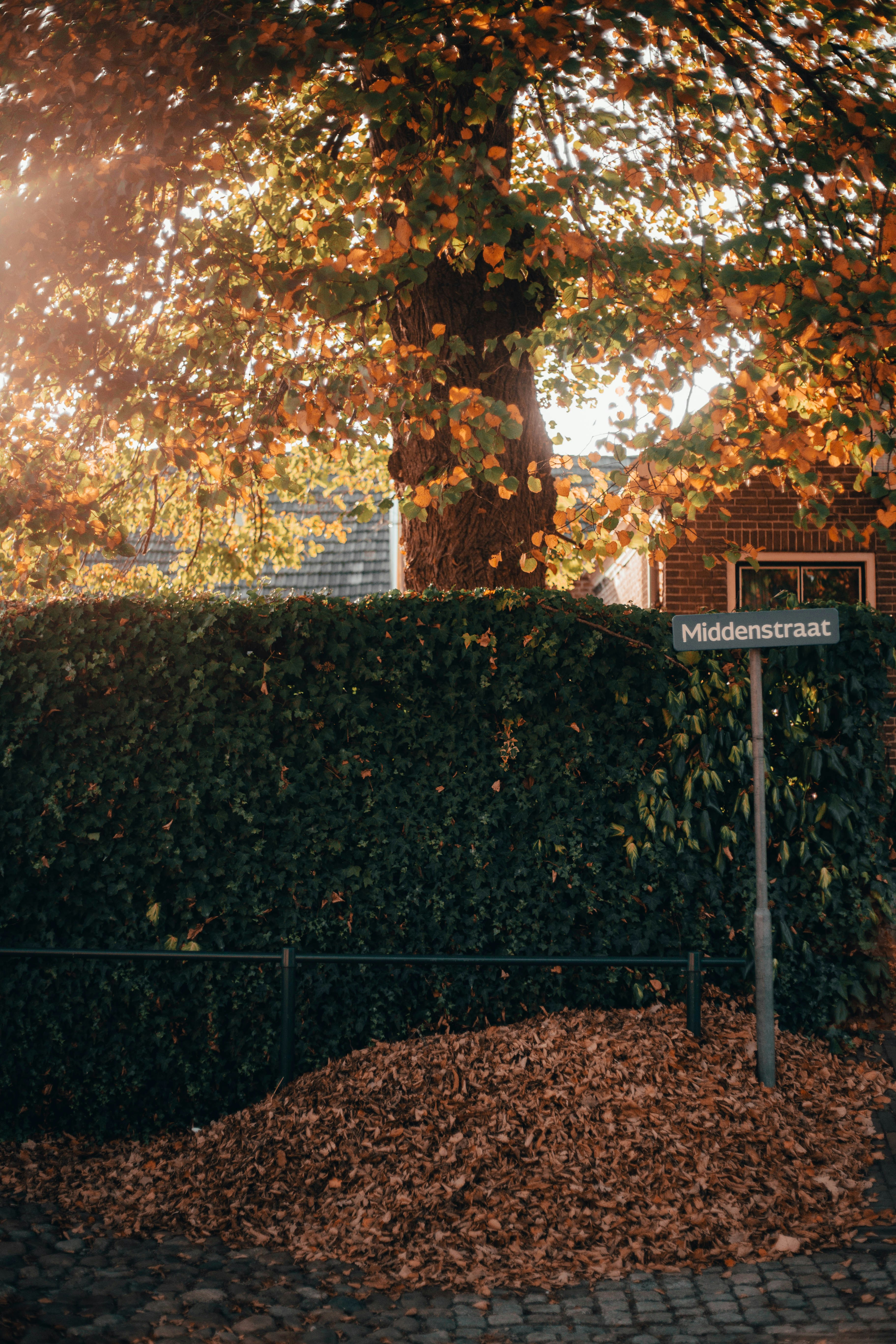 Photo by isaacmehegan