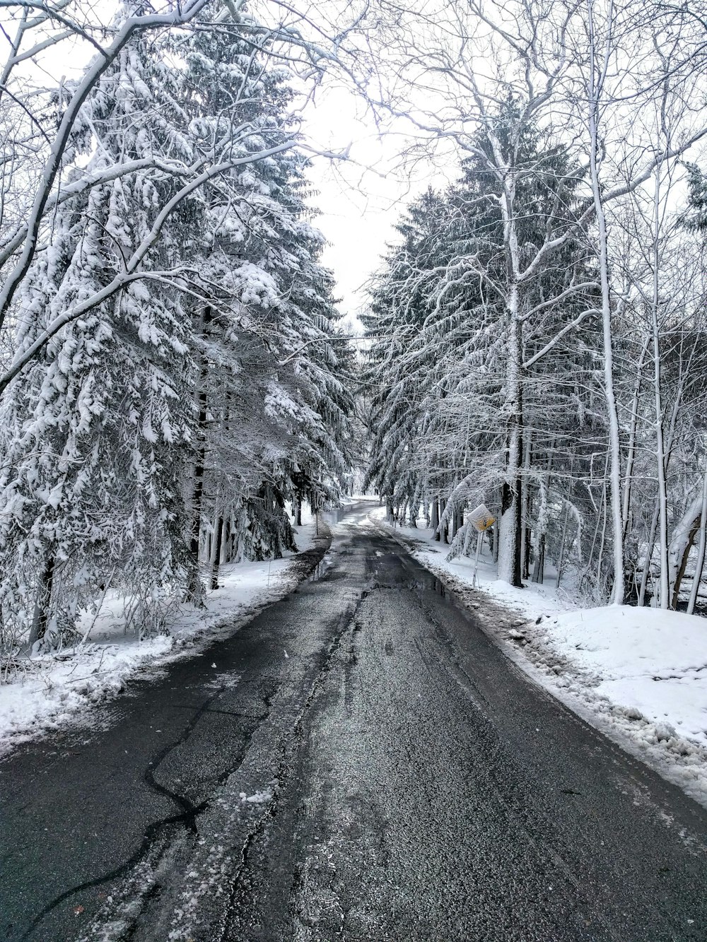gray road at winter