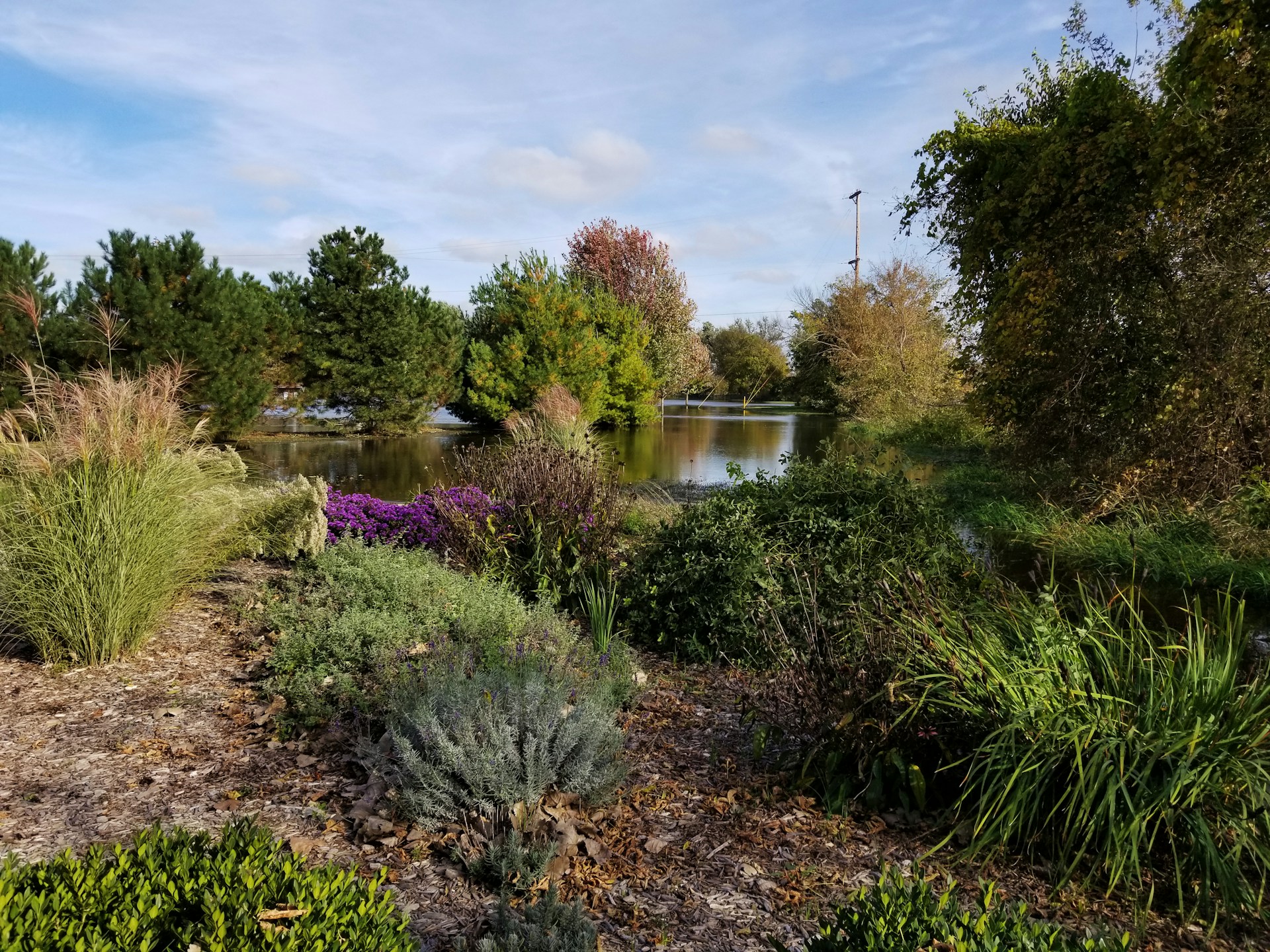 gray computer monitor