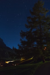 A nighttime landscape with a silhouetted tree in the foreground. A vast starry sky occupies the upper portion, while a dimly lit village or settlement with scattered lights is visible in the background. The scene is calm and serene, with natural and artificial lights blending softly.