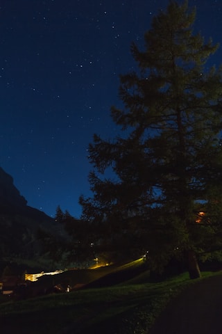 A nighttime landscape with a silhouetted tree in the foreground. A vast starry sky occupies the upper portion, while a dimly lit village or settlement with scattered lights is visible in the background. The scene is calm and serene, with natural and artificial lights blending softly.