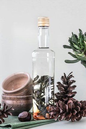 A glass bottle with a golden cap contains clear liquid and immersed leaves, standing upright next to two stacked wooden bowls. Adjacent to the bottle are two pine cones and a chestnut, placed on a folded green cloth. Green succulent leaves extend from the right side of the frame against a light background.