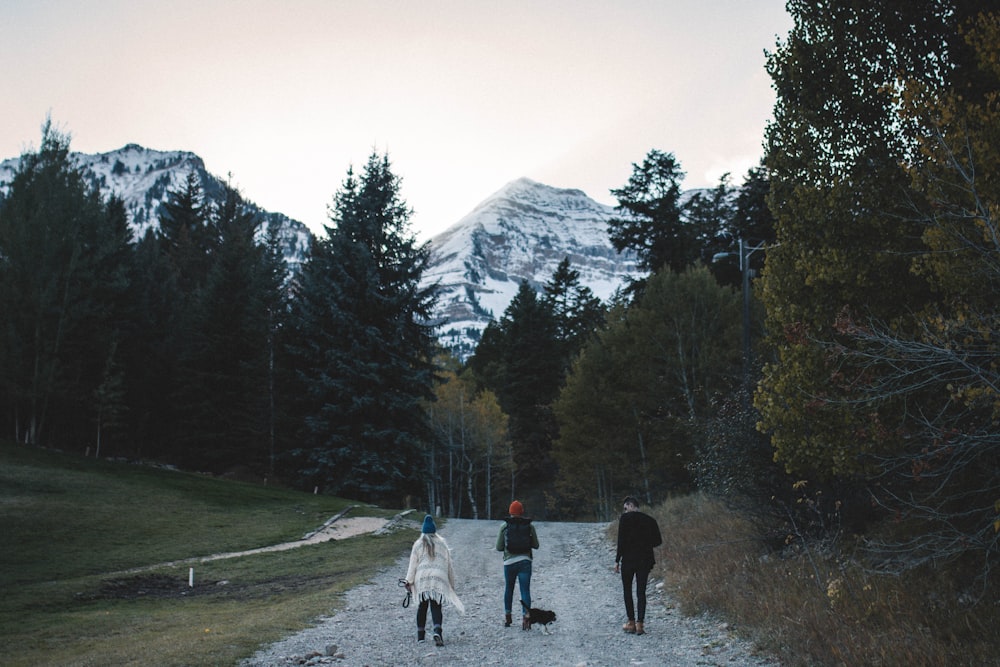 landscape photography of three person's walking on pathway