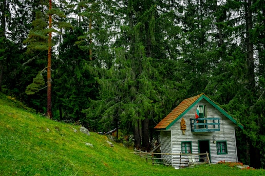 A small wooden cabin with a red roof is nestled among tall, dense evergreen trees. The cabin features a small balcony with a colorful flag and rustic wooden decorations. It sits on a lush green grassy slope surrounded by a wooden fence, evoking a serene and secluded atmosphere.
