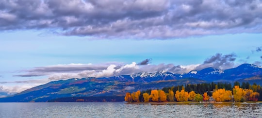 forest near body of water in Whitefish United States