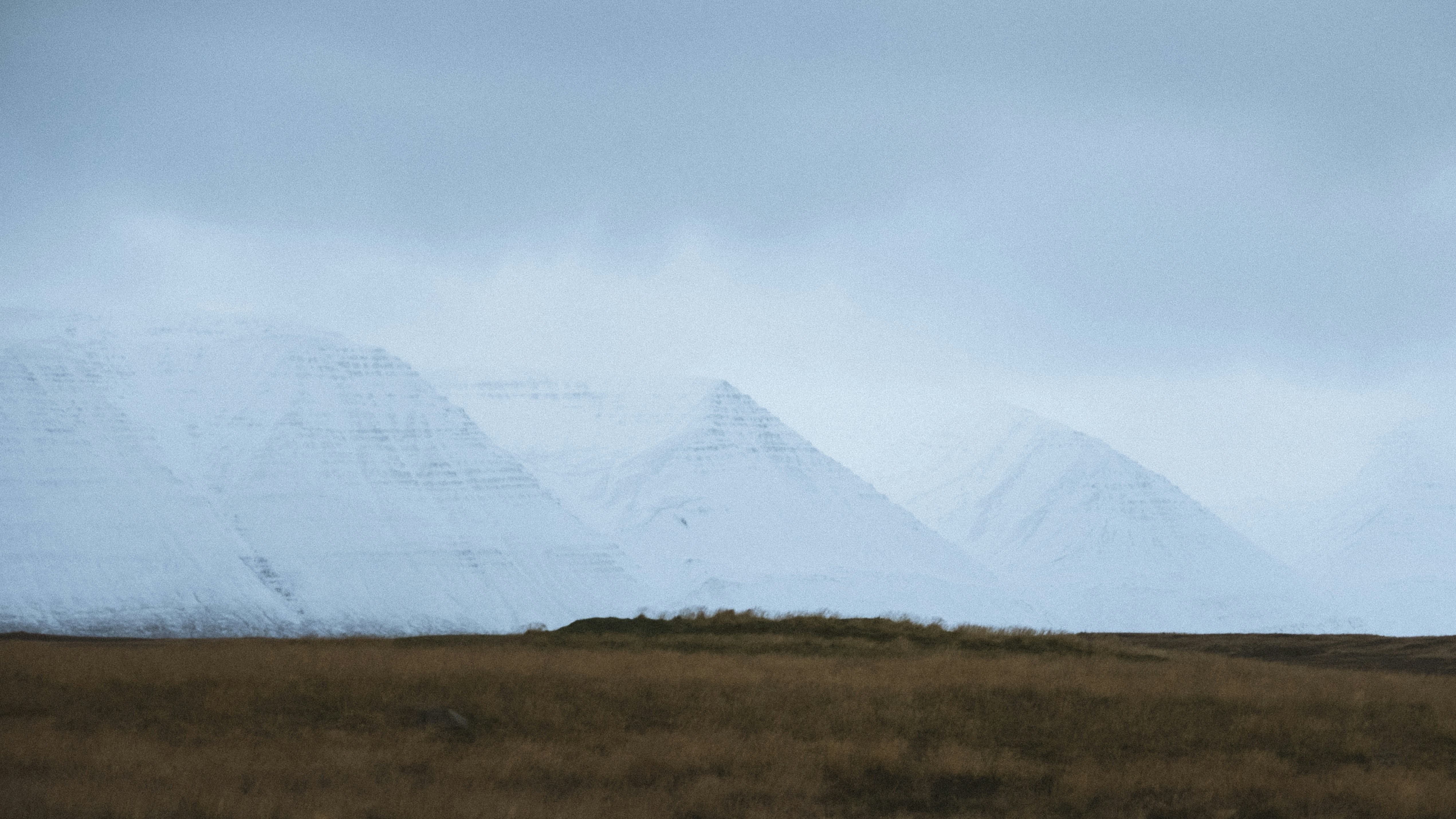 Photo by twentyonekoalas