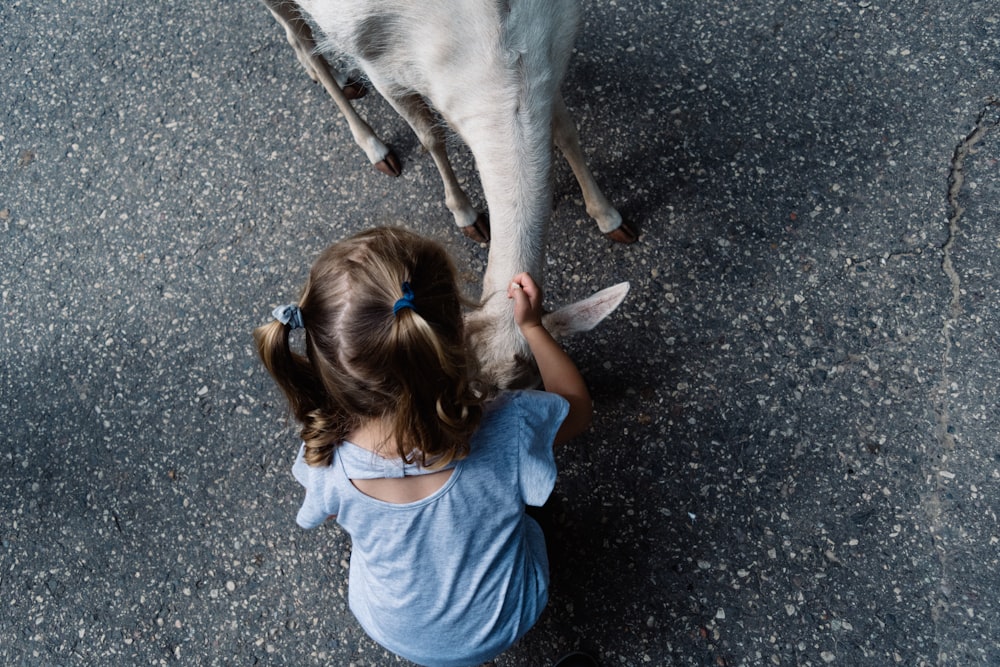 girl holing white goat