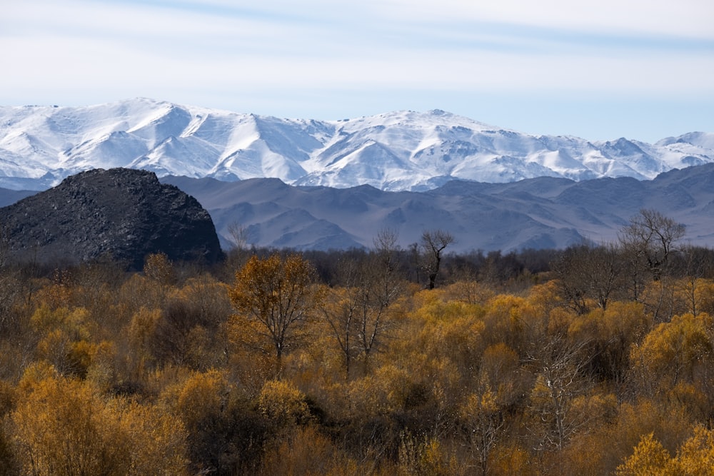 view of snowy mountain during daytime