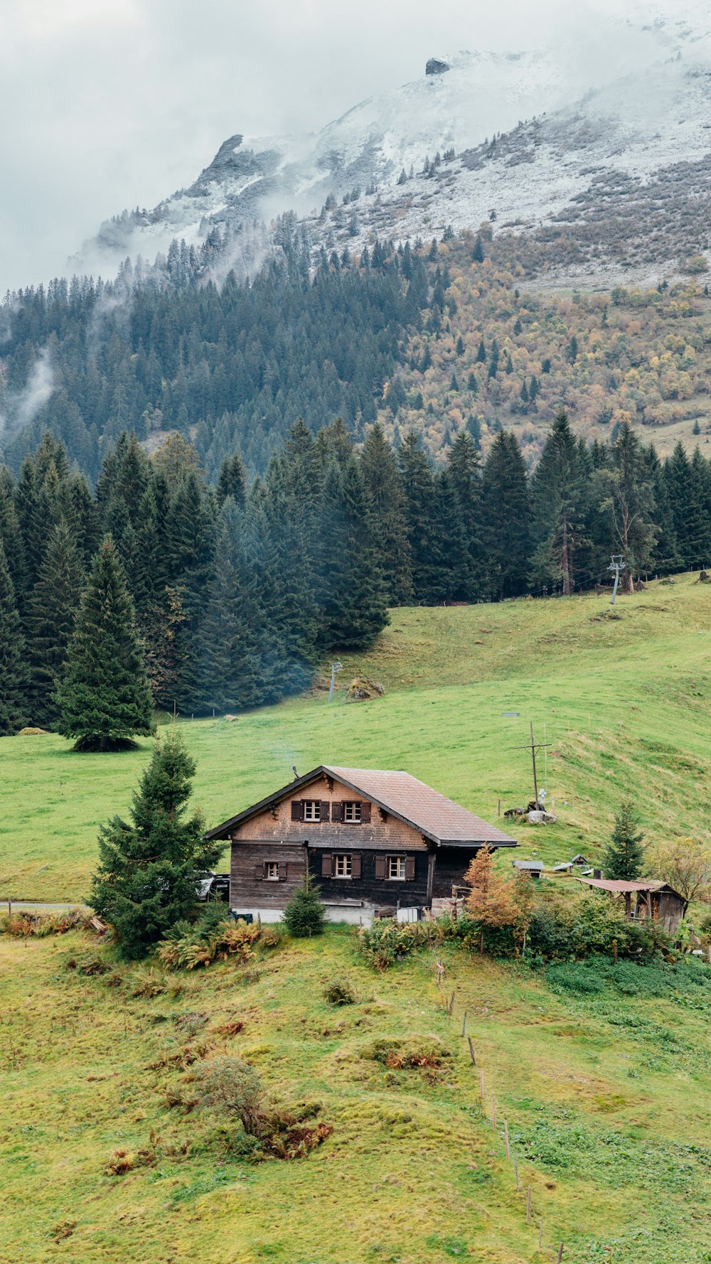 a house in the middle of a field with a mountain in the background