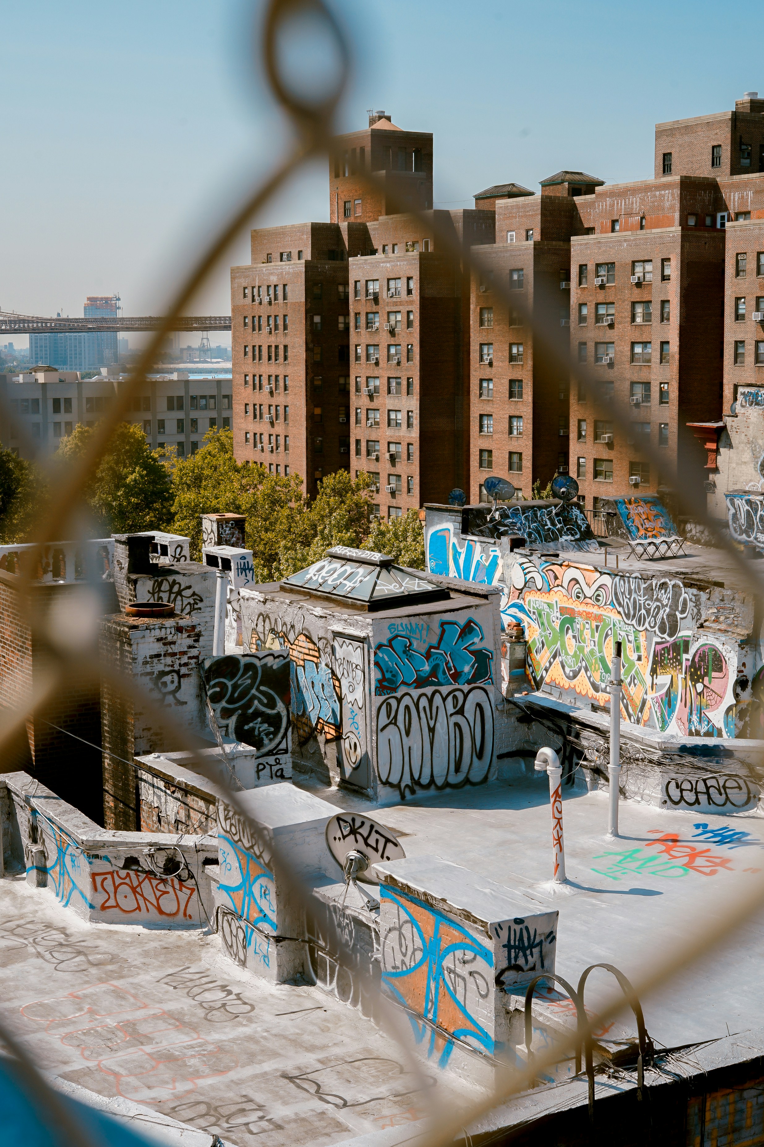 Toa Heftiba (@heftiba) | Unsplash Photo Community