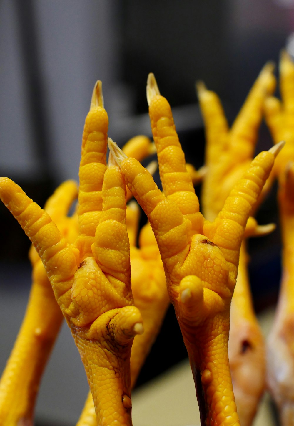 chicken feet