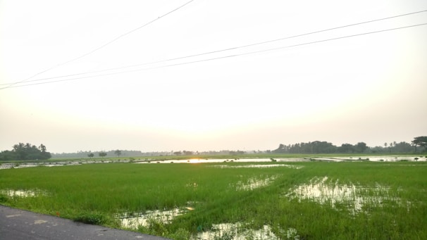 A serene landscape with a digital overlay of data points and connections.