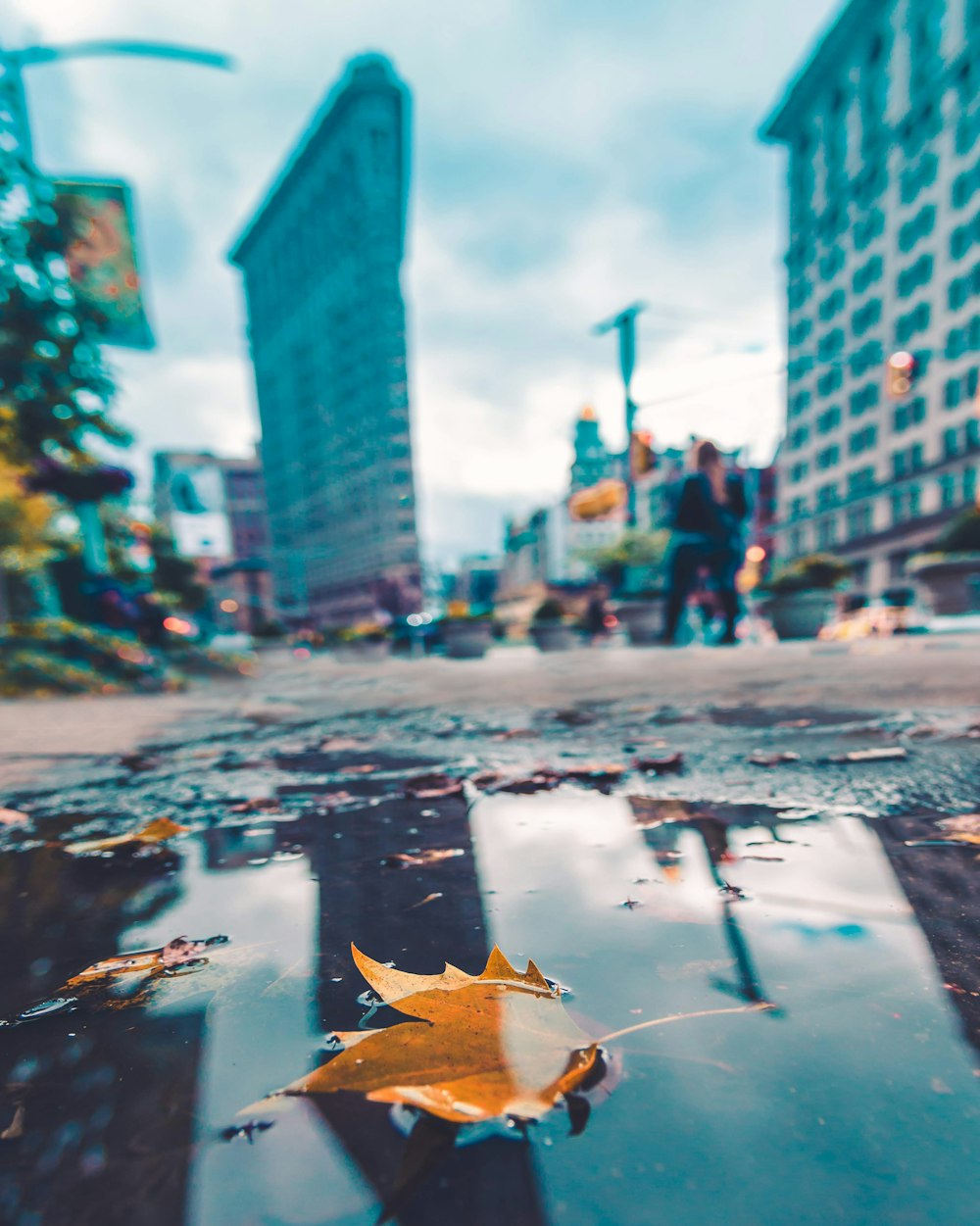 selective focus photo of maple leaf on road with body of water