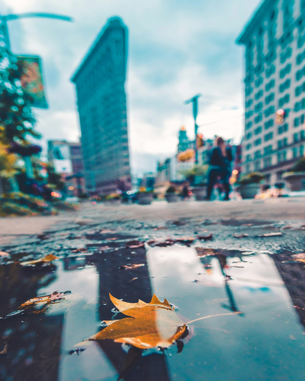Selektives Fokusfoto von Ahornblatt auf der Straße mit Gewässer