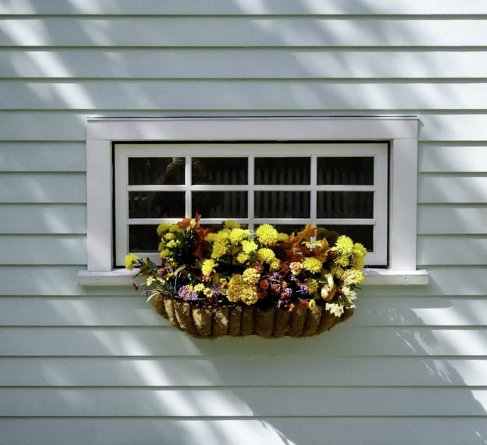 assorted flowers on window