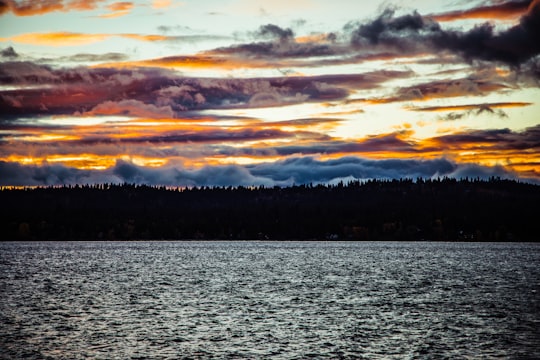 silhouette photo of island in 1622 E Lake St United States