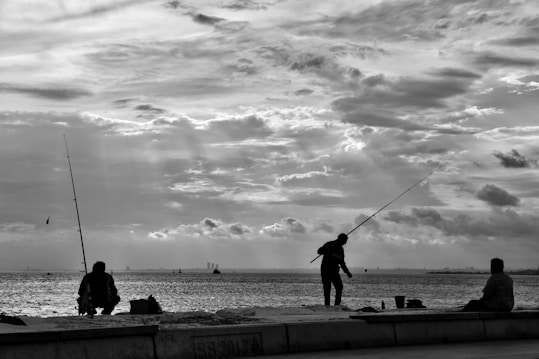 Silhouettes of people fishing by the seaside with a dramatic cloudy sky overhead, creating a peaceful and contemplative scene. The horizon lines and subtle waves communicate calmness, while the figures engaged in different activities suggest a narrative of leisure and patience.