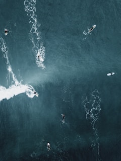 people surfboarding on ocean