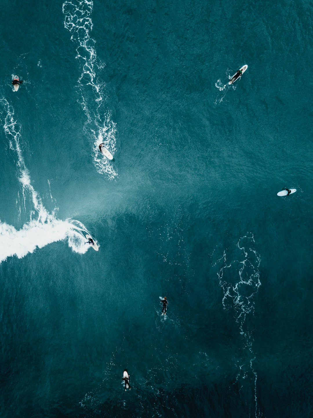 travelers stories about Ocean in 1-3 Rue du Dr de Miramont, France