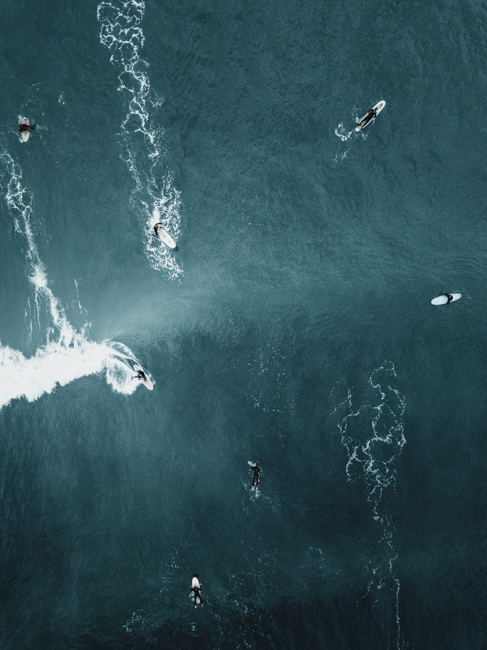 海でサーフボードをする人々