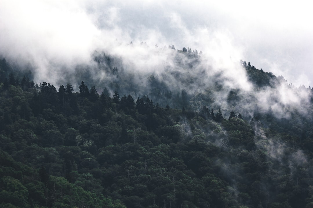 travelers stories about Hill station in Great Smoky Mountains National Park, United States